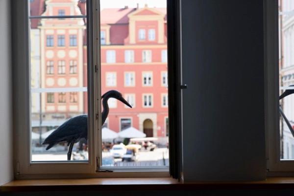 Grande Appartamento 100M2 Rynek 24H Self Check-In Wrocław Zewnętrze zdjęcie